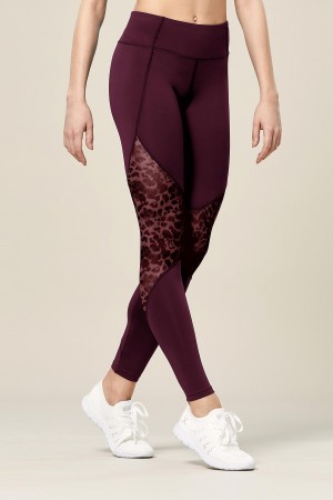 Pantalones Bloch Ezra Animal Printed Mesh Panelled Full Length Tight Mujer Lavish | CLQAV77508