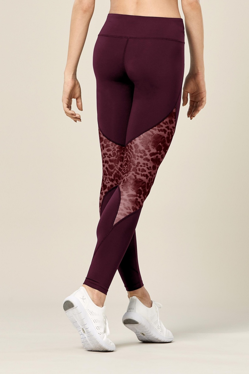 Pantalones Bloch Ezra Animal Printed Mesh Panelled Full Length Tight Mujer Lavish | CLQAV77508